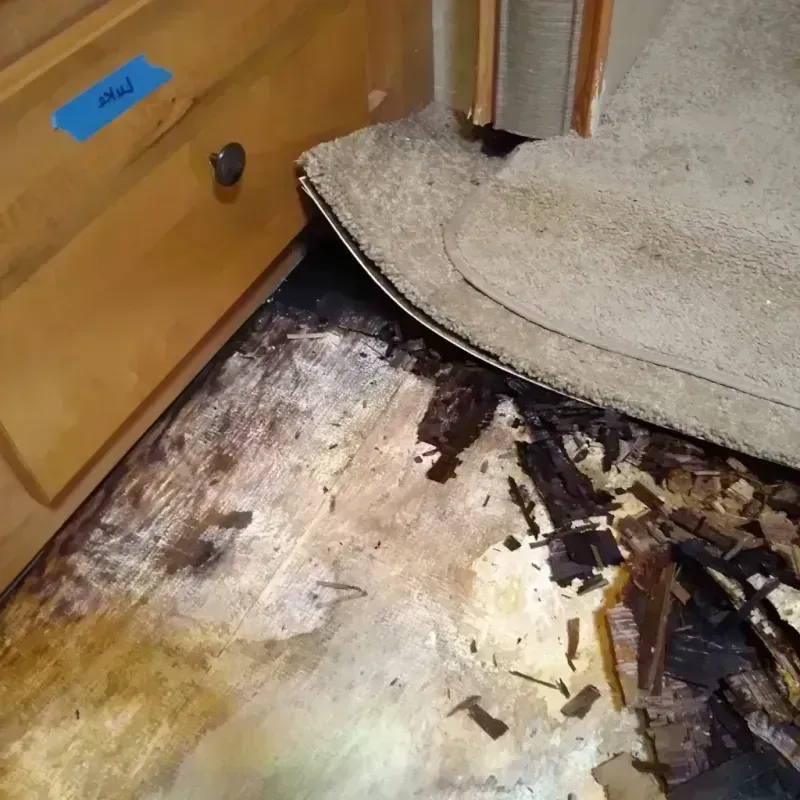 Best Wood Floor Water Damage Service in Holmes Beach, FL